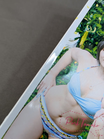 Ryukyu Dragon Pro Wrestling Girls Photo Collection "Teichi! Wow! Michi!"