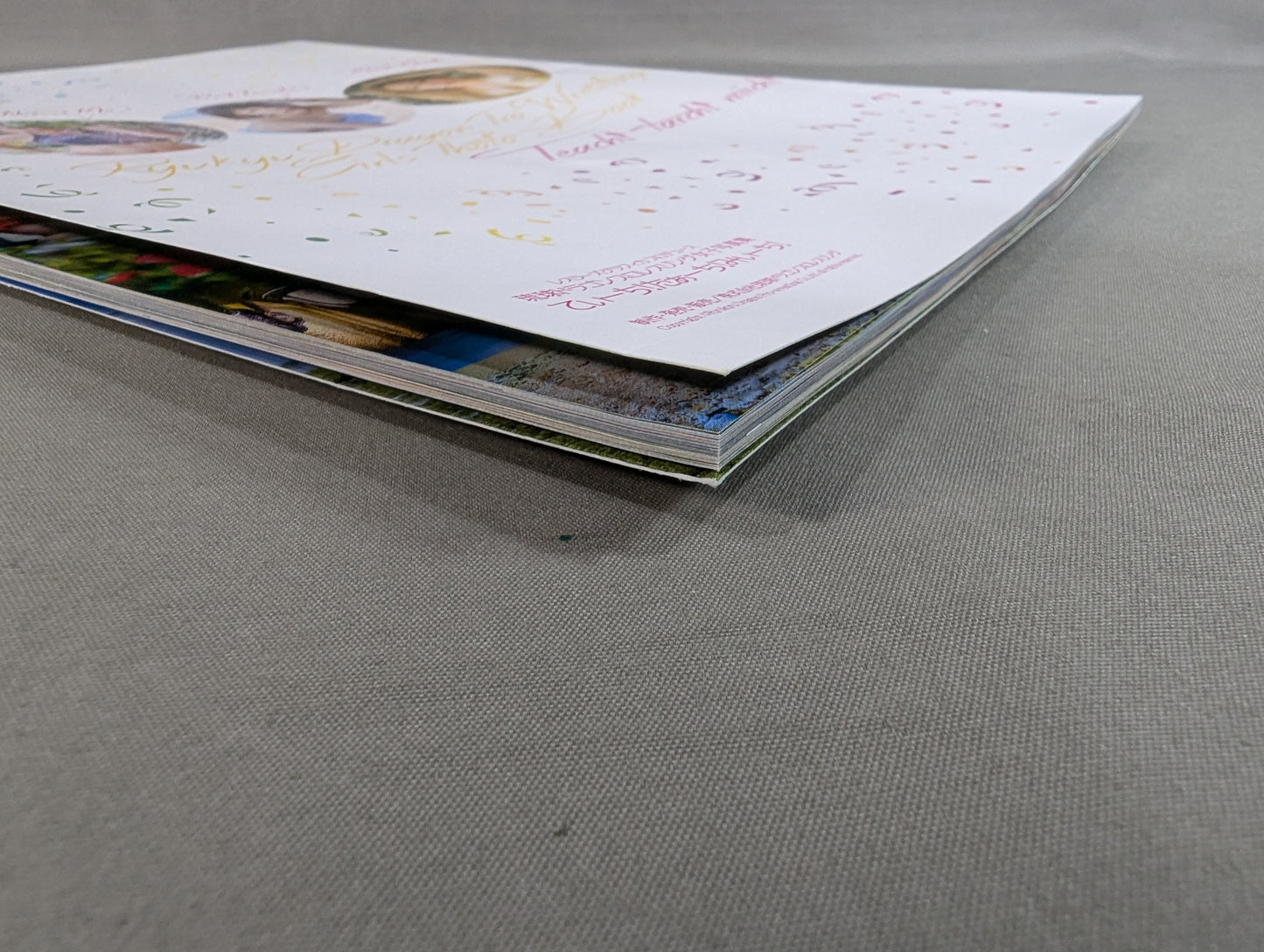 Ryukyu Dragon Pro Wrestling Girls Photo Collection "Teichi! Wow! Michi!"