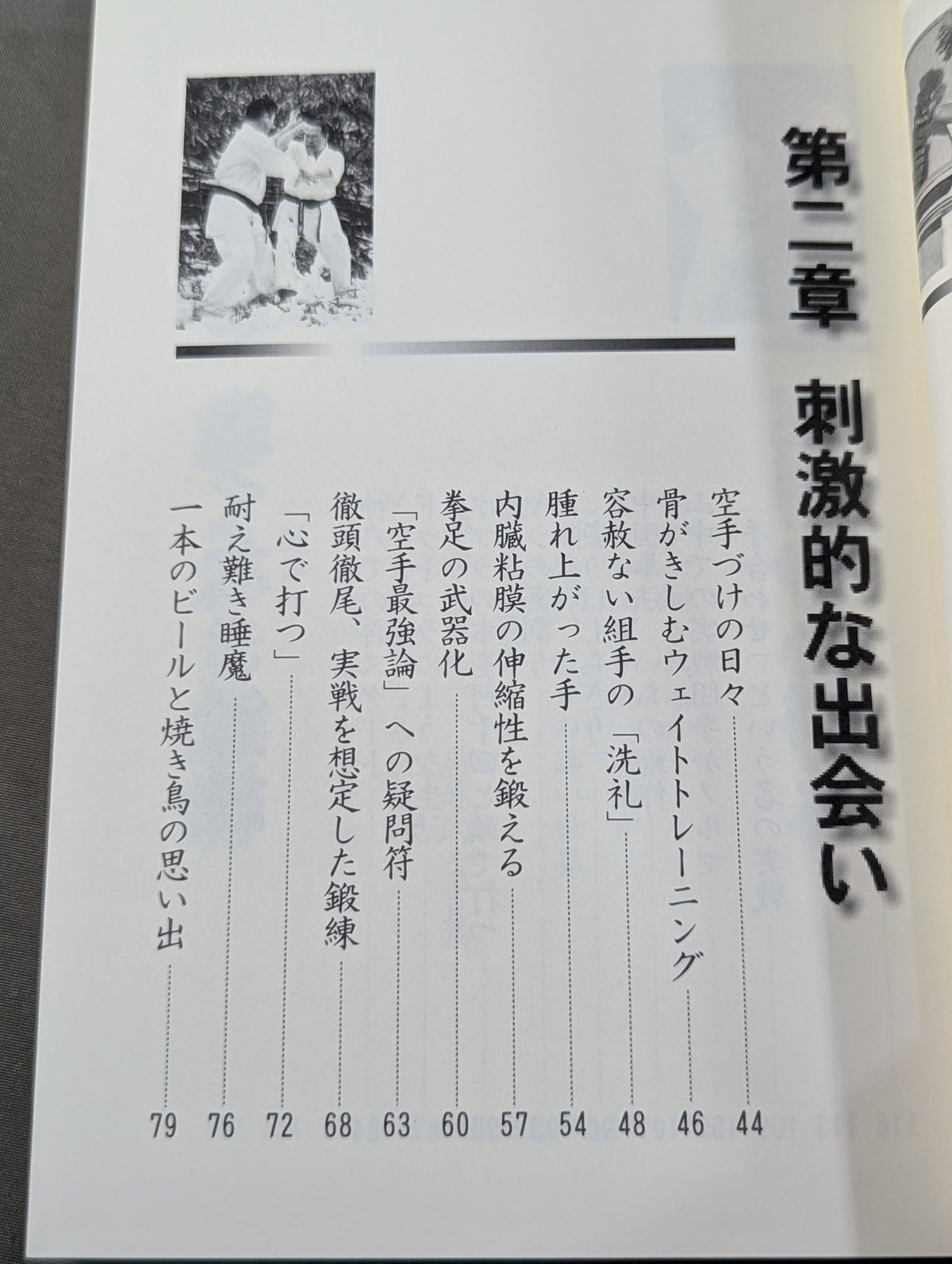 格闘空手 武道に生きる