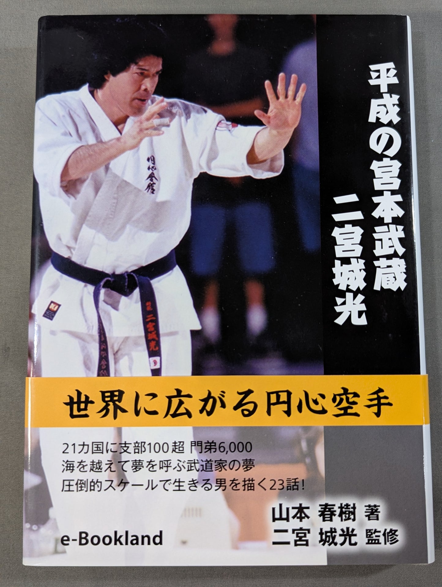 Heisei no Miyamoto Musashi Ninomiyagi Hikaru