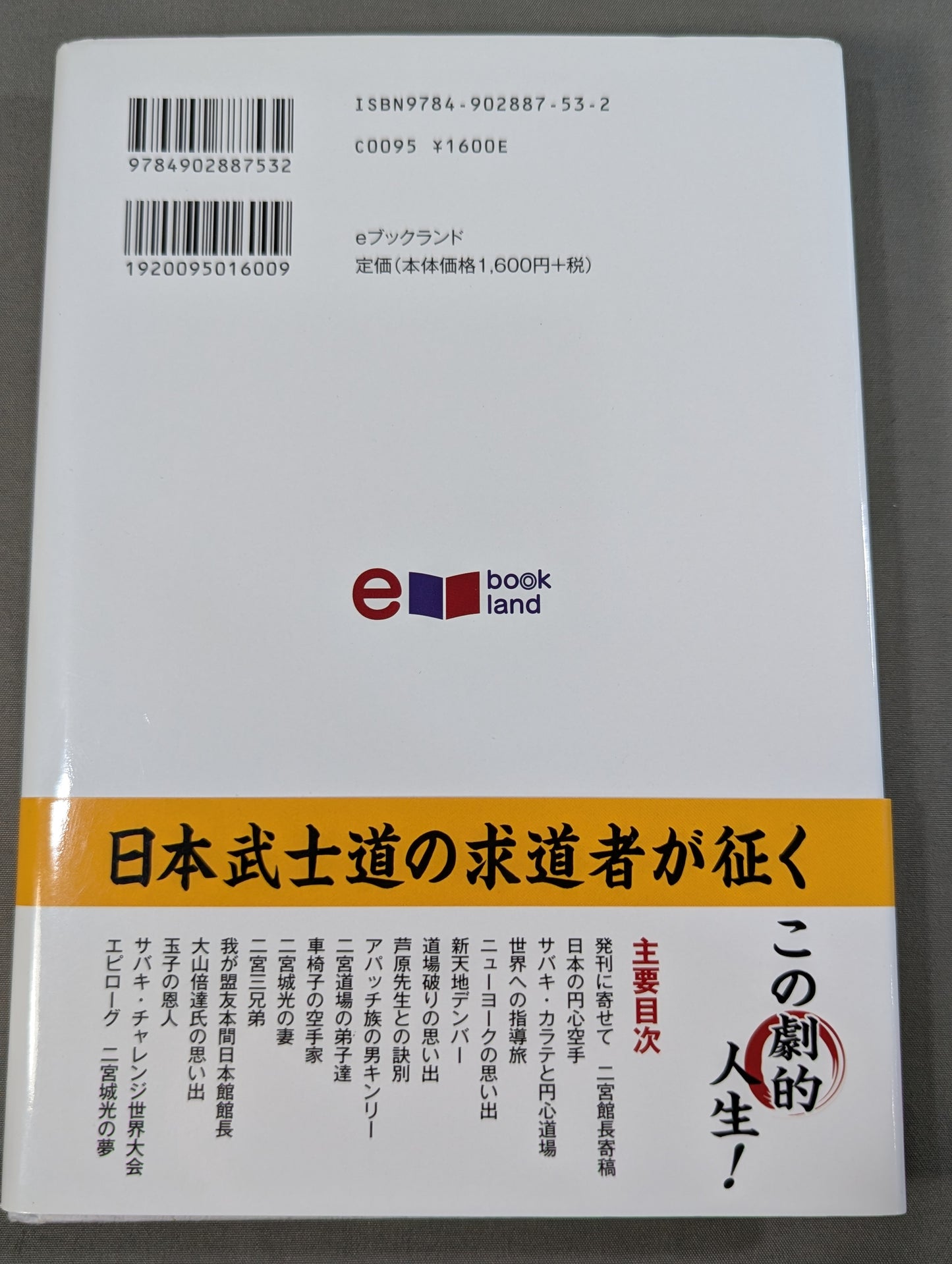 Heisei no Miyamoto Musashi Ninomiyagi Hikaru