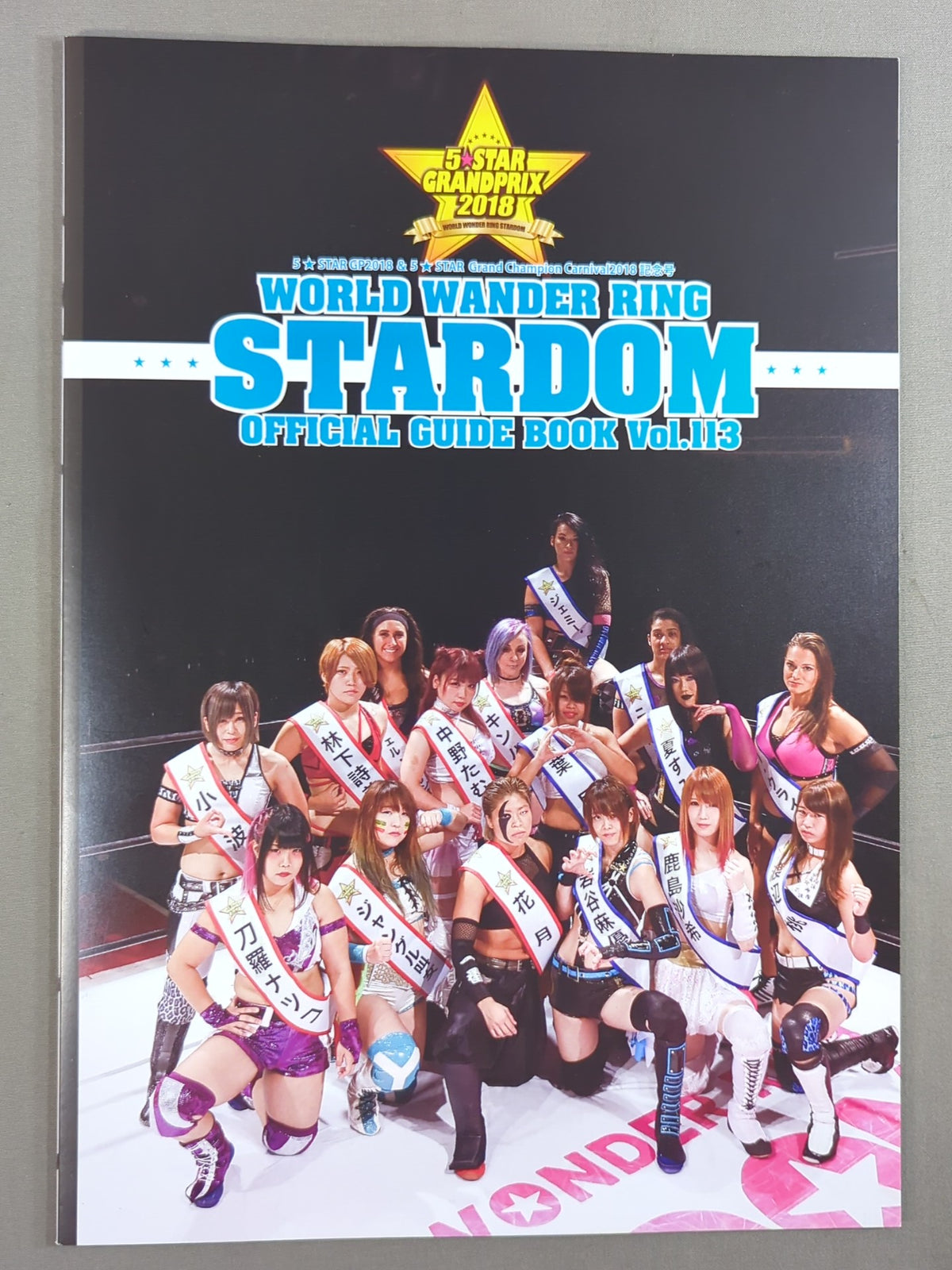 ★5-Star Championship Match ★ STARDOM OFFICIAL GUIDE BOOK Vol.113