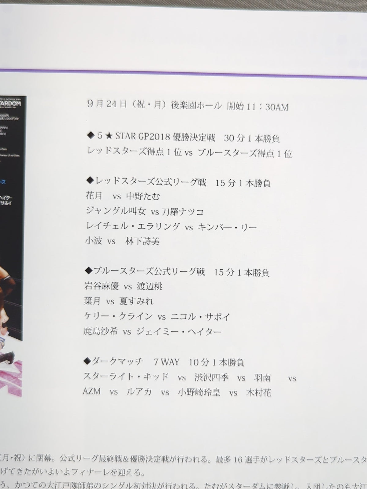★5-Star Championship Match ★ STARDOM OFFICIAL GUIDE BOOK Vol.113