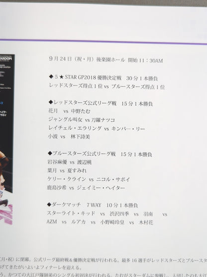 ★5-Star Championship Match ★ STARDOM OFFICIAL GUIDE BOOK Vol.113