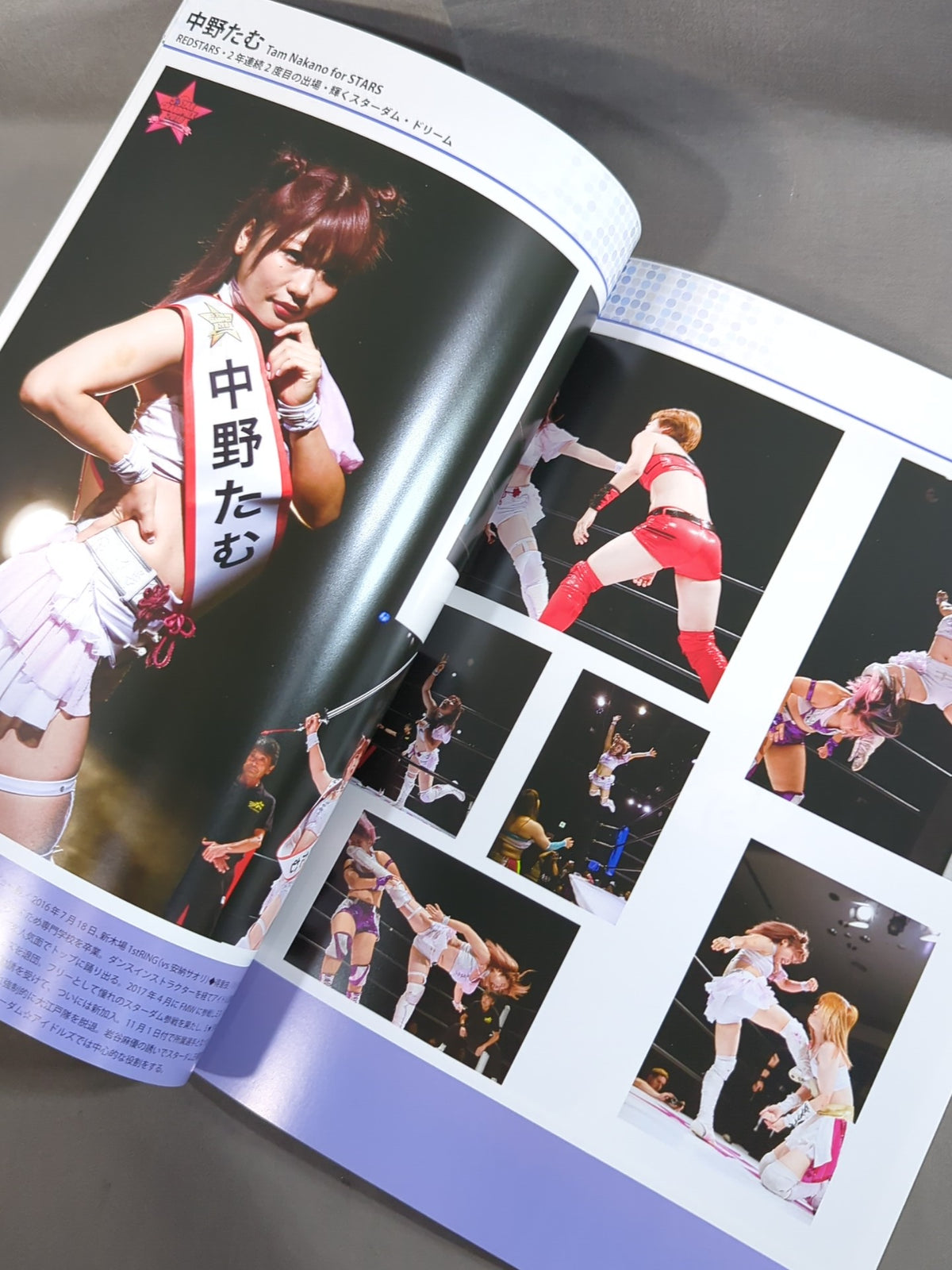 ★5-Star Championship Match ★ STARDOM OFFICIAL GUIDE BOOK Vol.113