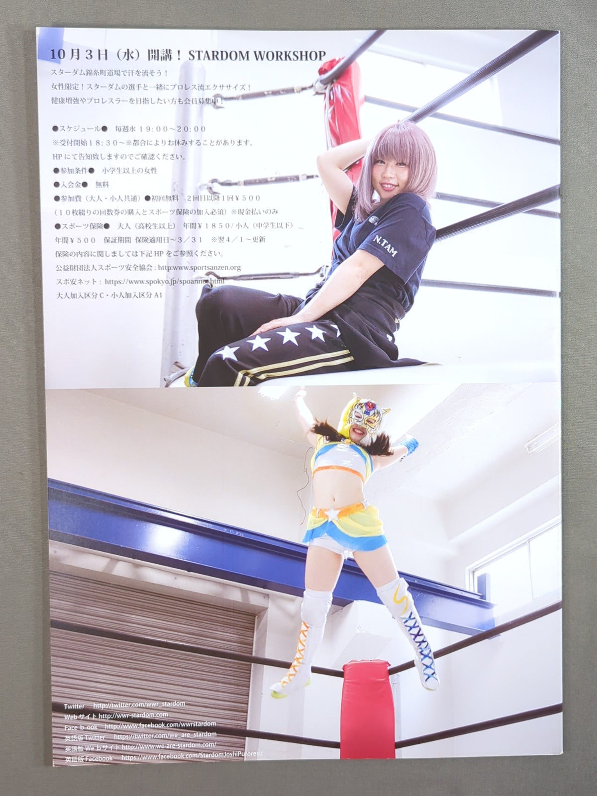 ★5-Star Championship Match ★ STARDOM OFFICIAL GUIDE BOOK Vol.113