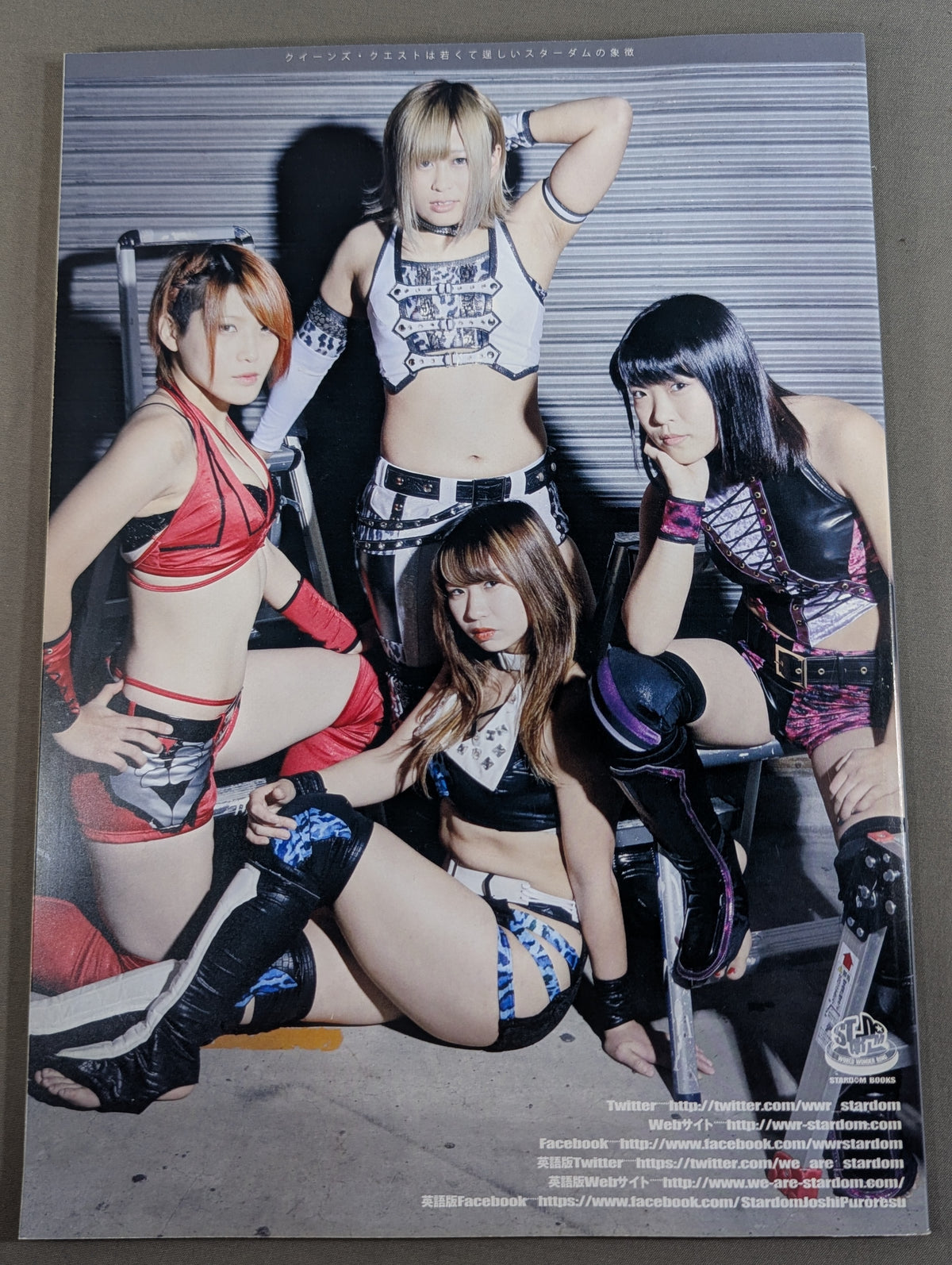 Special Photo ＆Interview Book STARDOM WORLD Vol.4