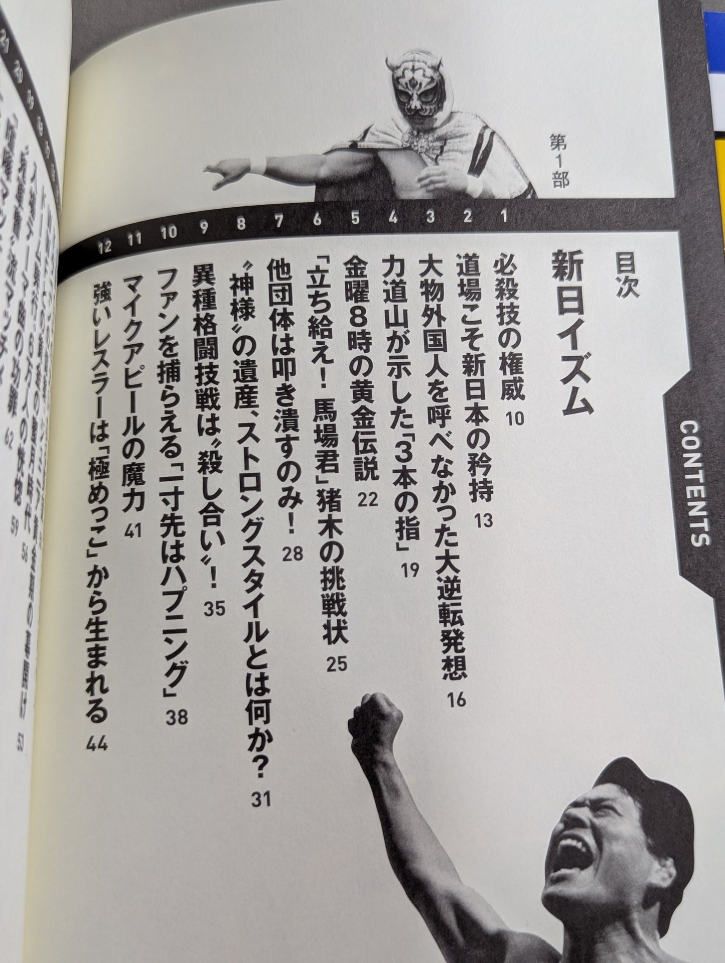 詳説 新日イズム 完全版