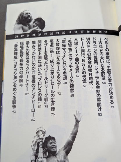 詳説 新日イズム 完全版