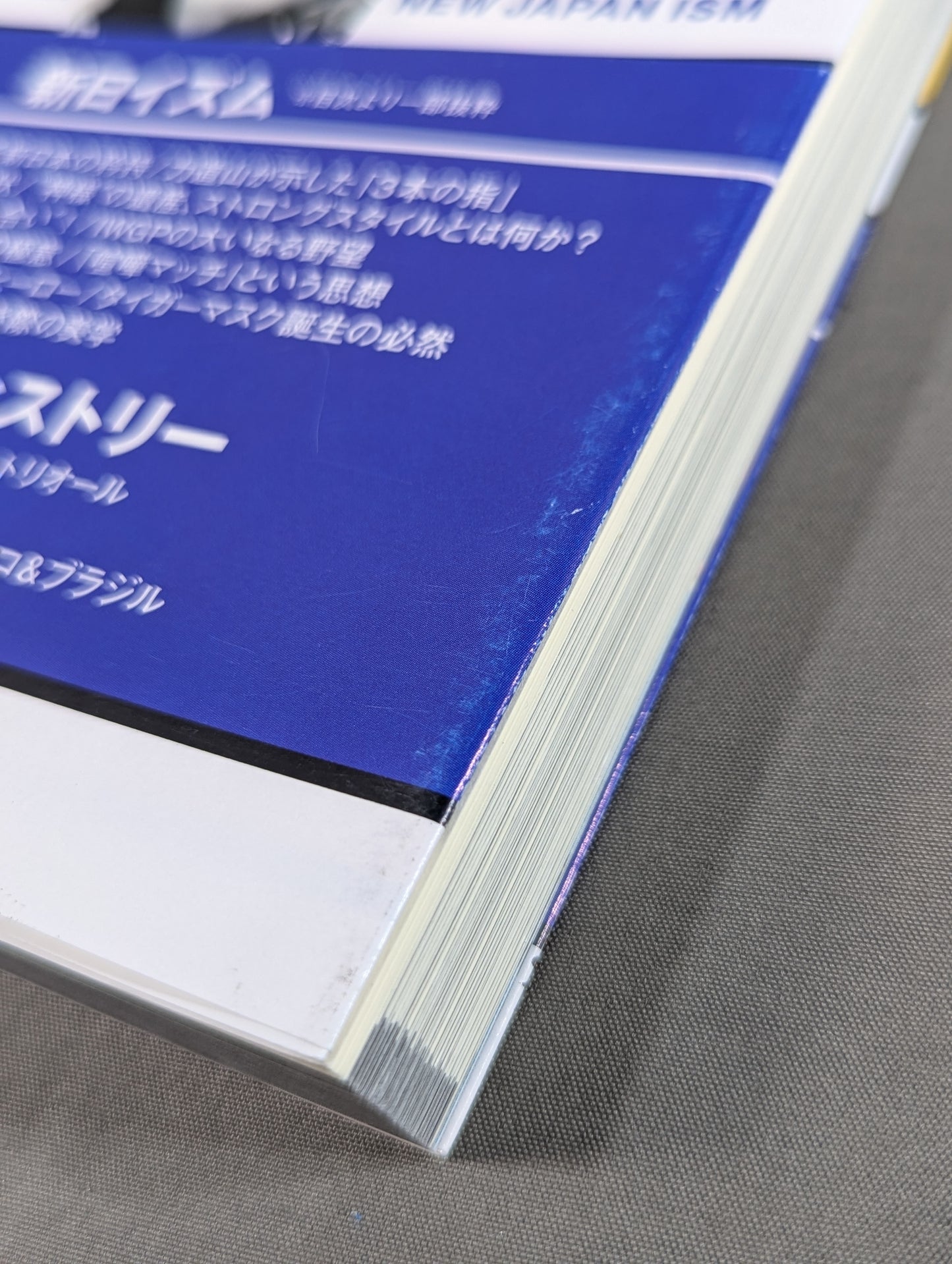 詳説 新日イズム 完全版
