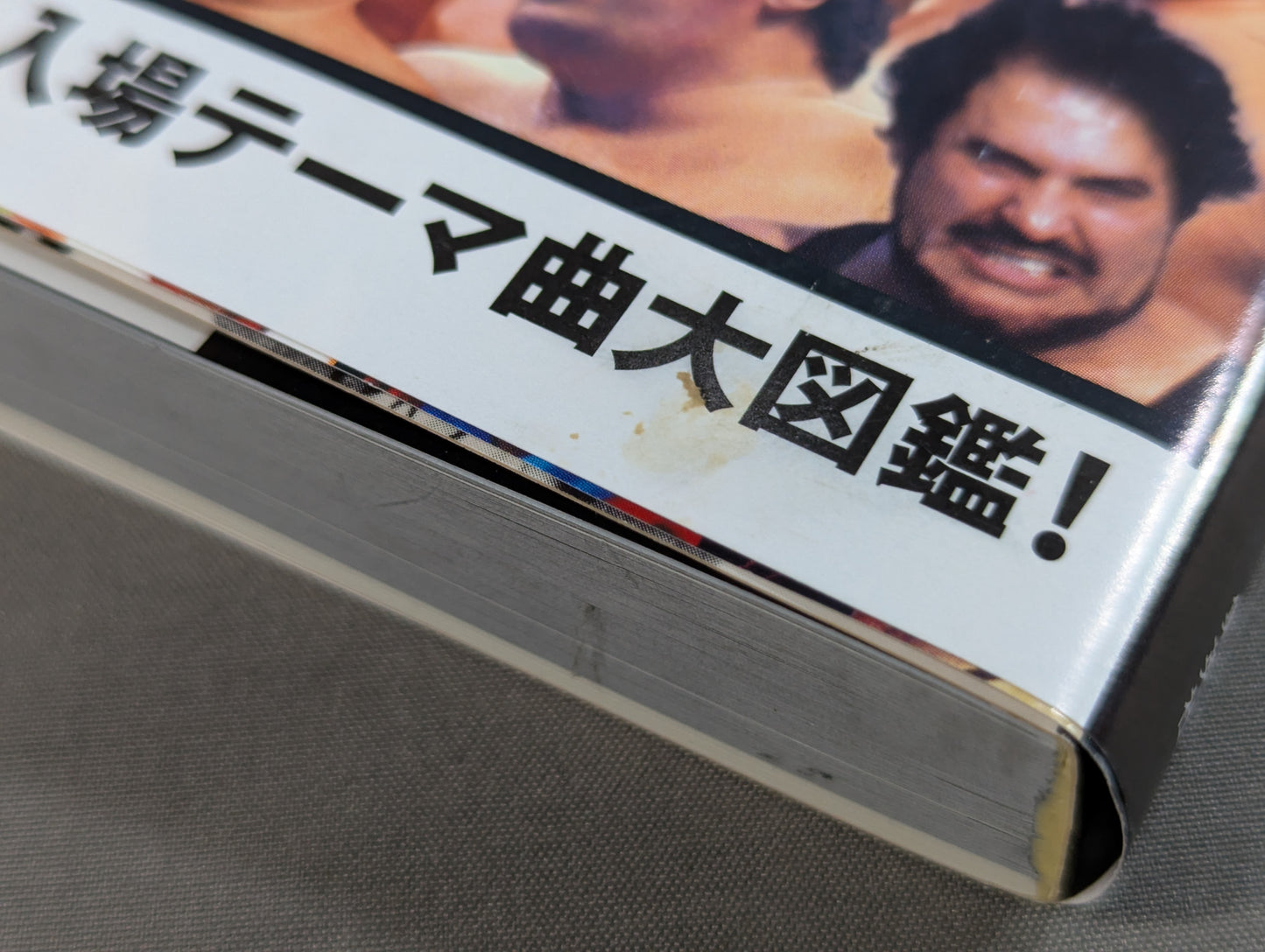 詳説 新日イズム 完全版