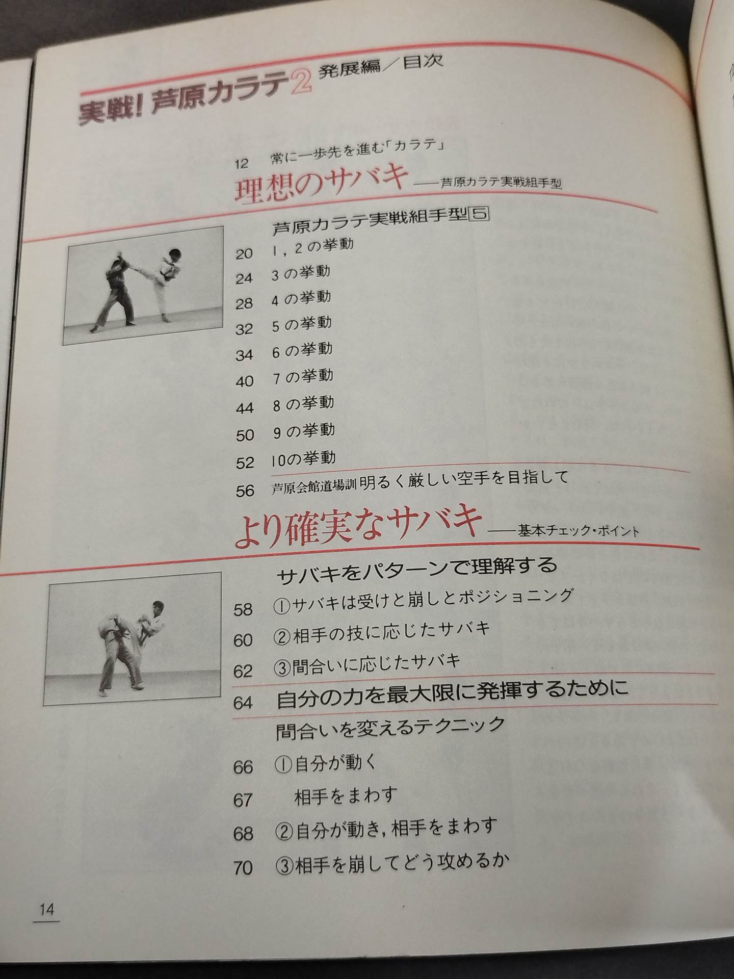 Combat! KARATE  Ashihara 2 Development