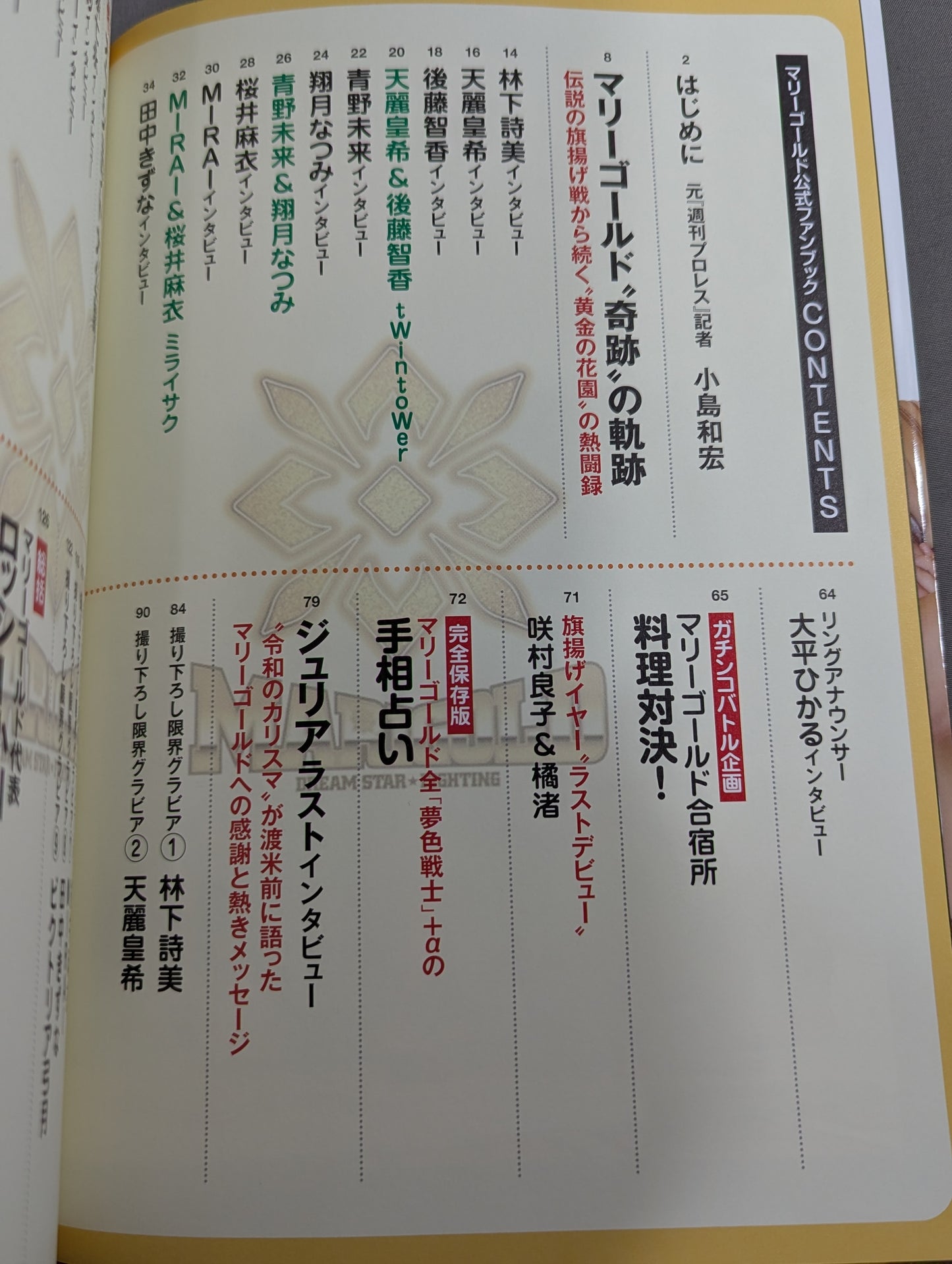 マリーゴールド公式ファンブック