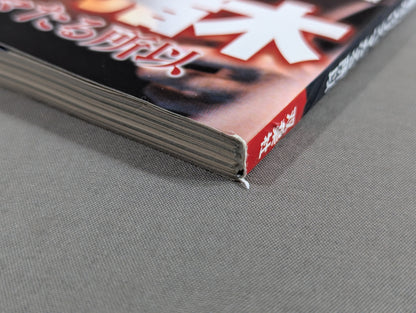 俺たちのプロレス Vol.3 平成のアントニオ猪木