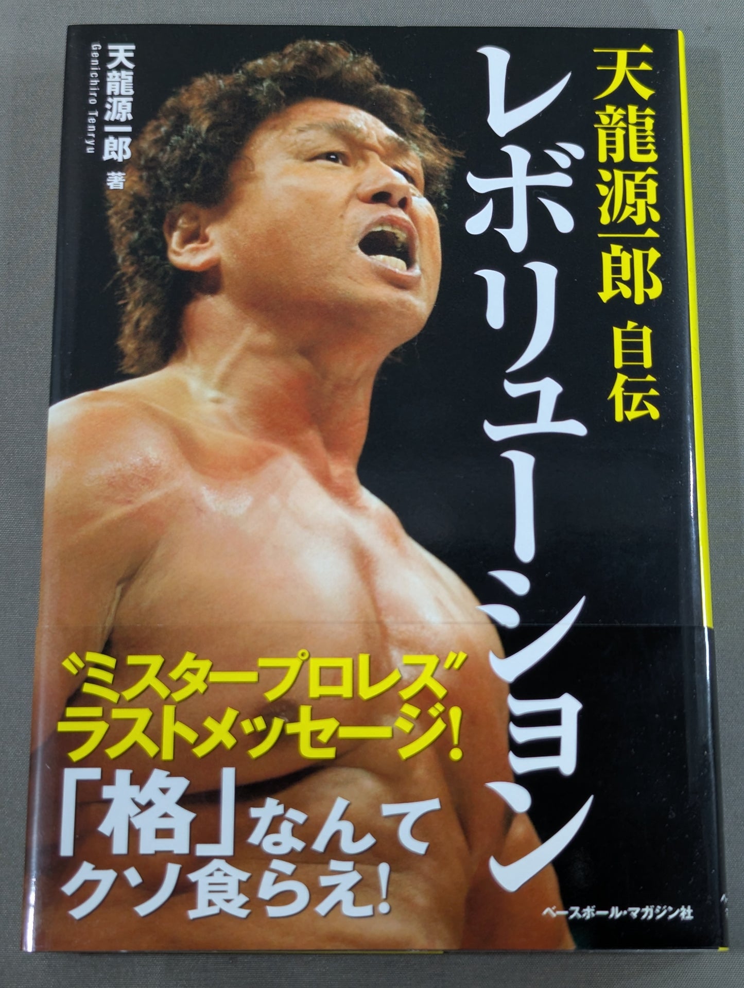 天龍源一郎自伝 レボリューション