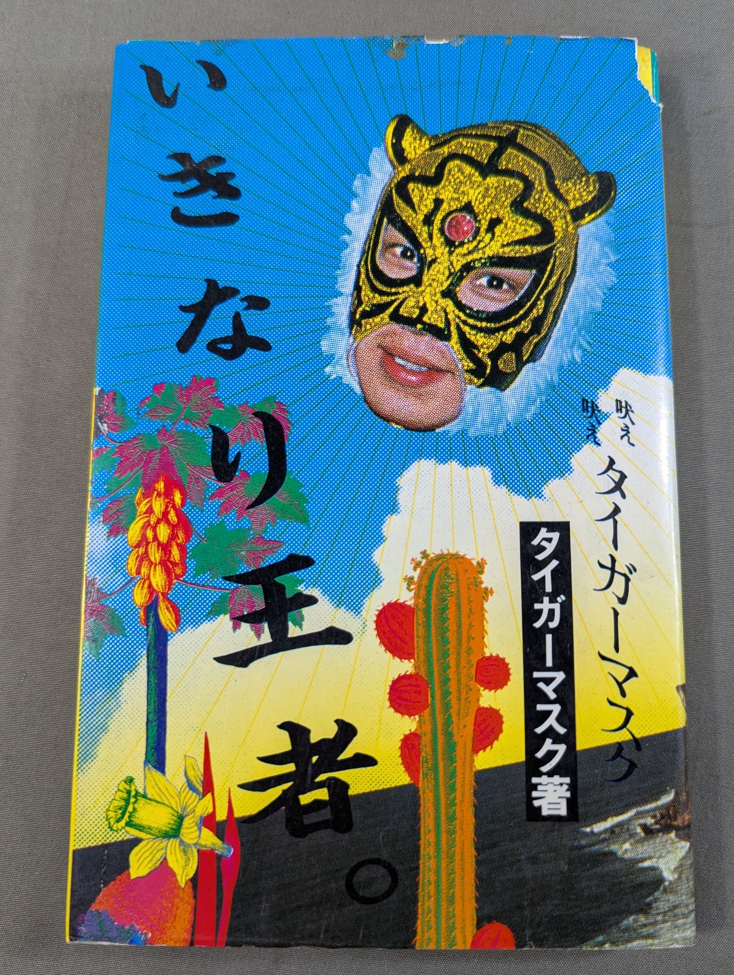 Suddenly a champion. Barking Barking Tiger Mask