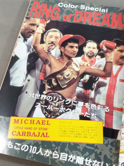 94 Gong Boxing Watching Perfect Guide
