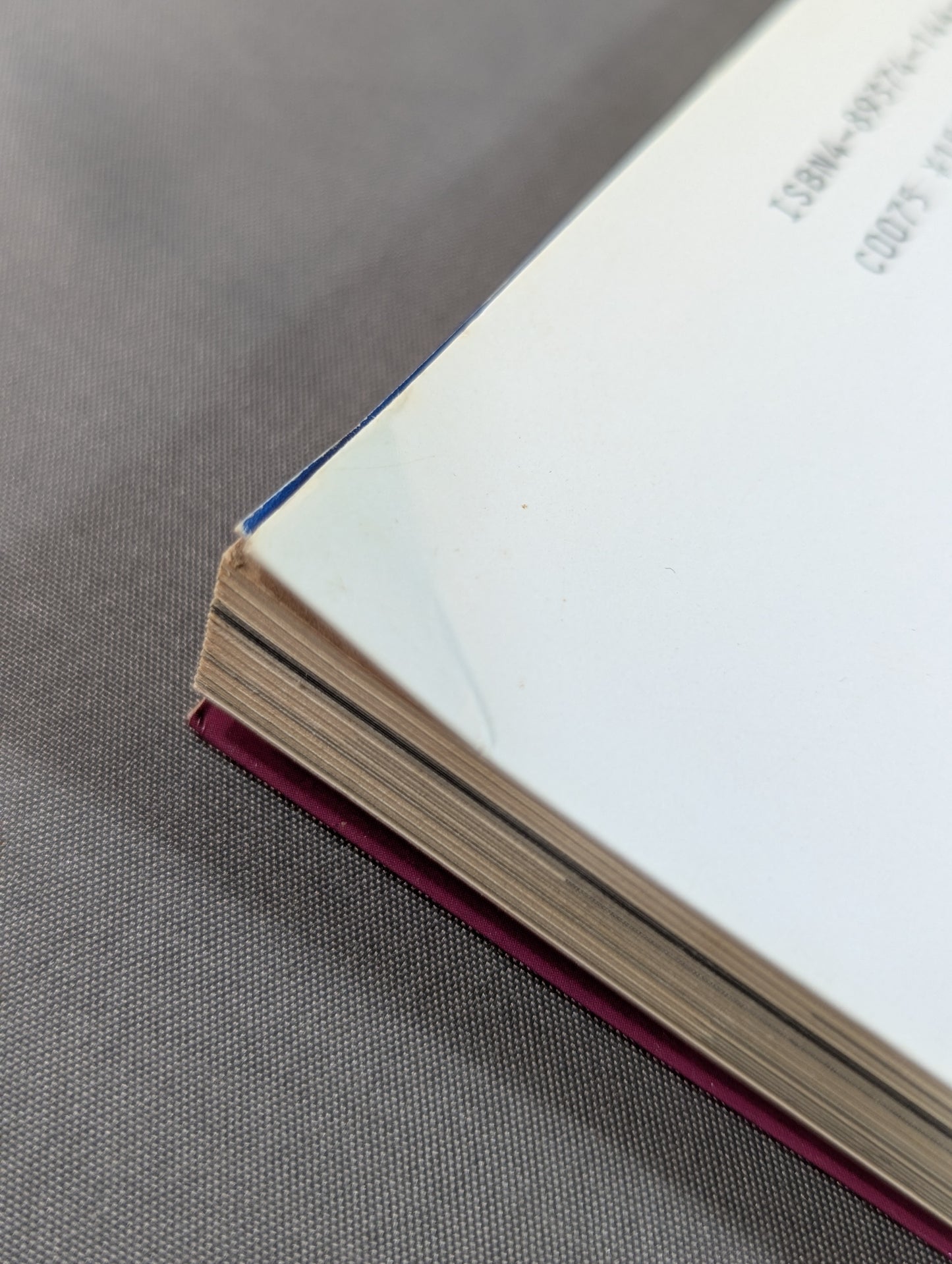 Satoru Sayama 's Circle Road