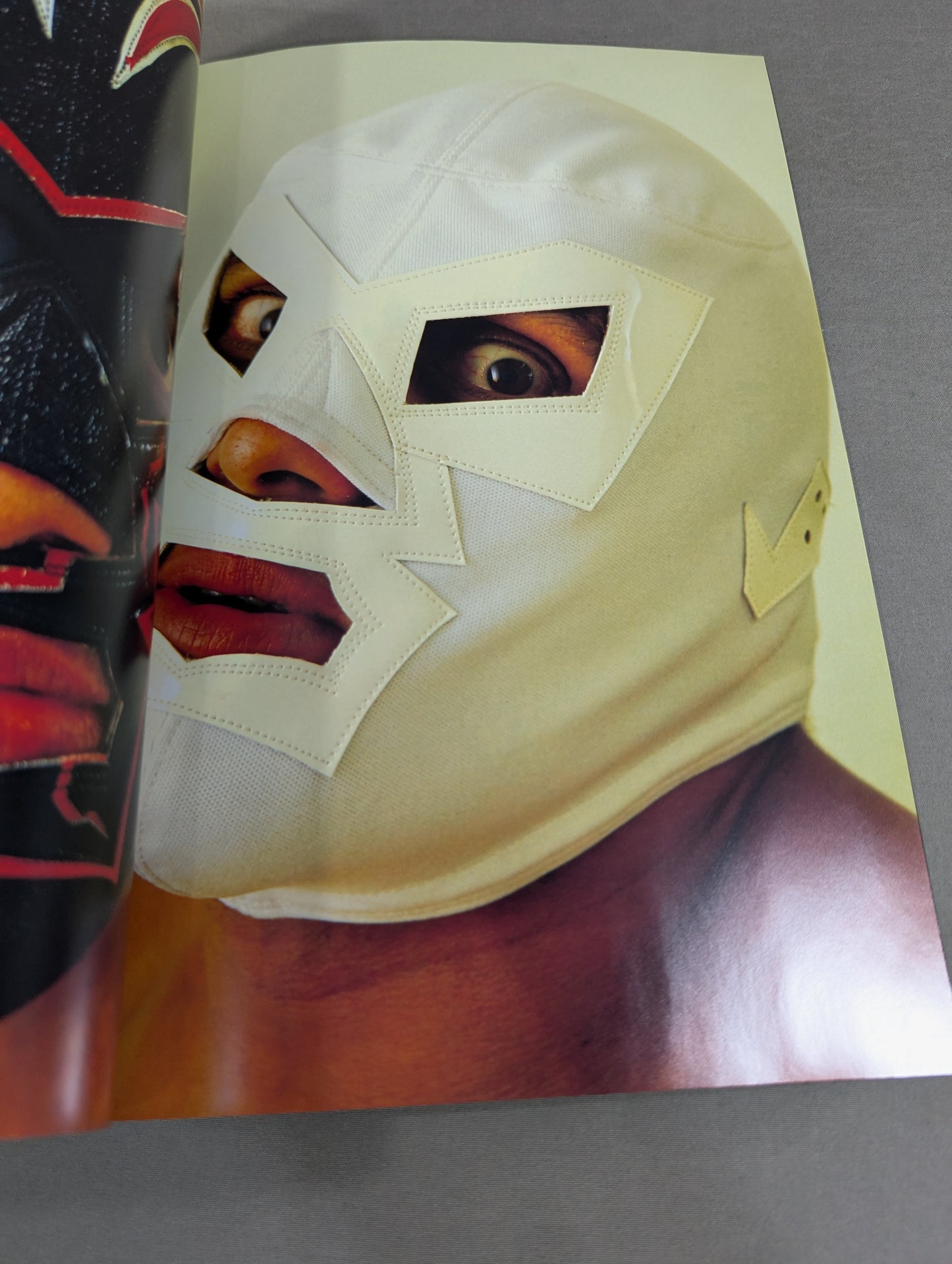 【ドクトル・ワグナーJr. 直筆サイン入り】FOTOLIBRE de Mascara Numero.48