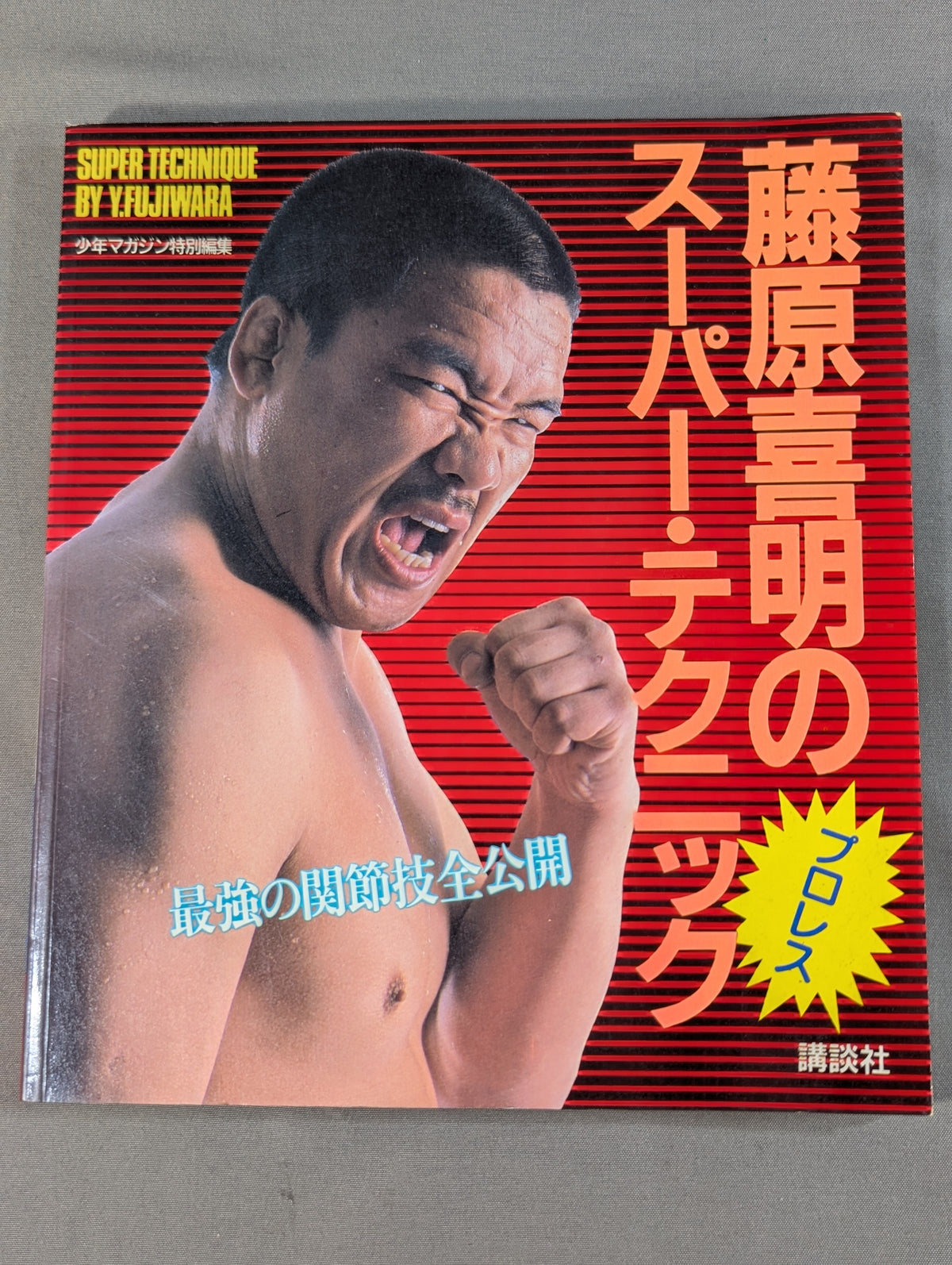 藤原喜明のスーパー・テクニック 最強の関節技全公開
