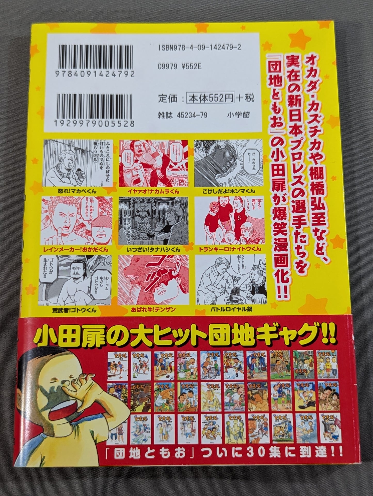 New Japan  Fantasy (1)