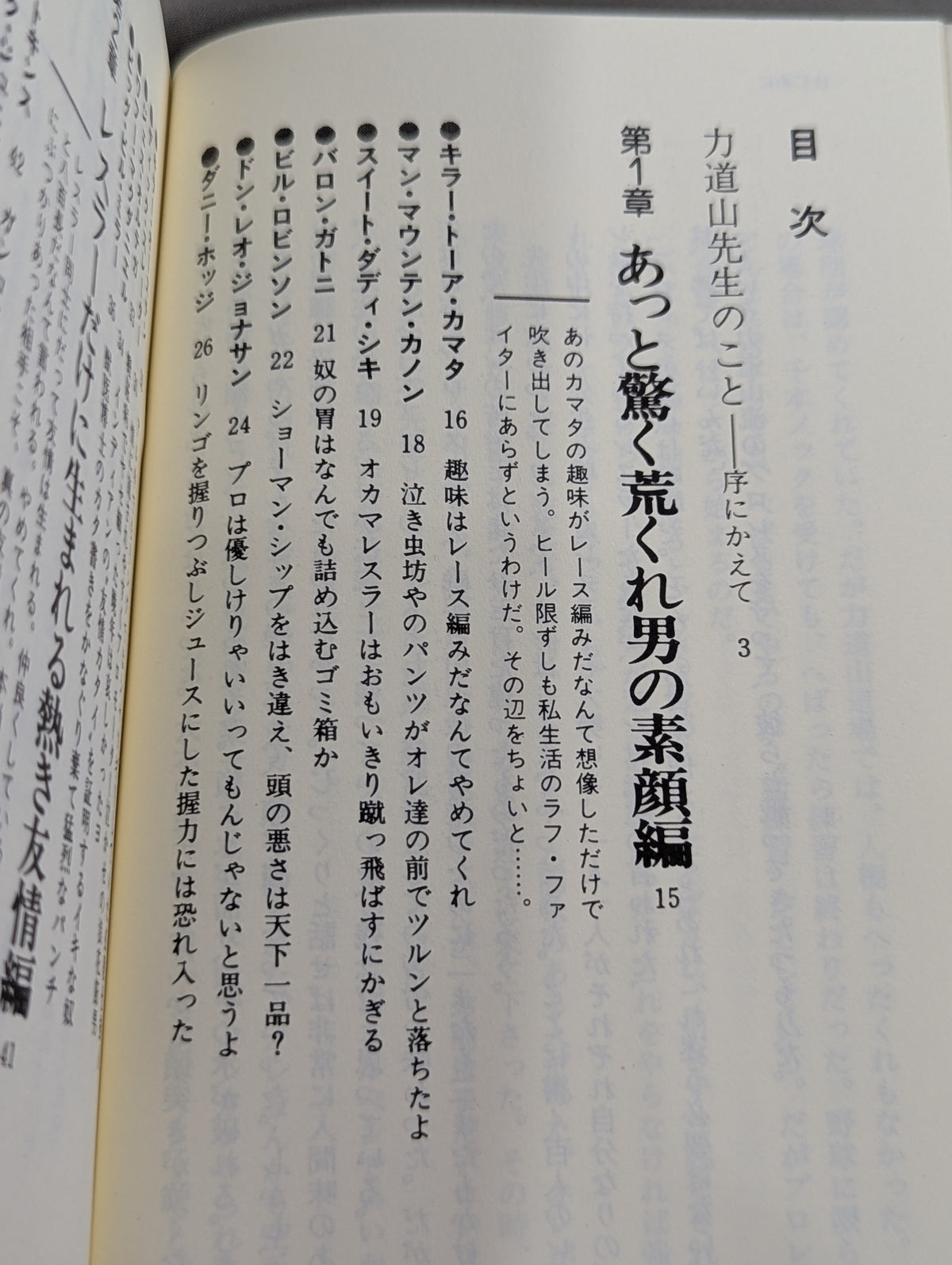 【新装版】16文が行く プロレス界の巨人 100戦記