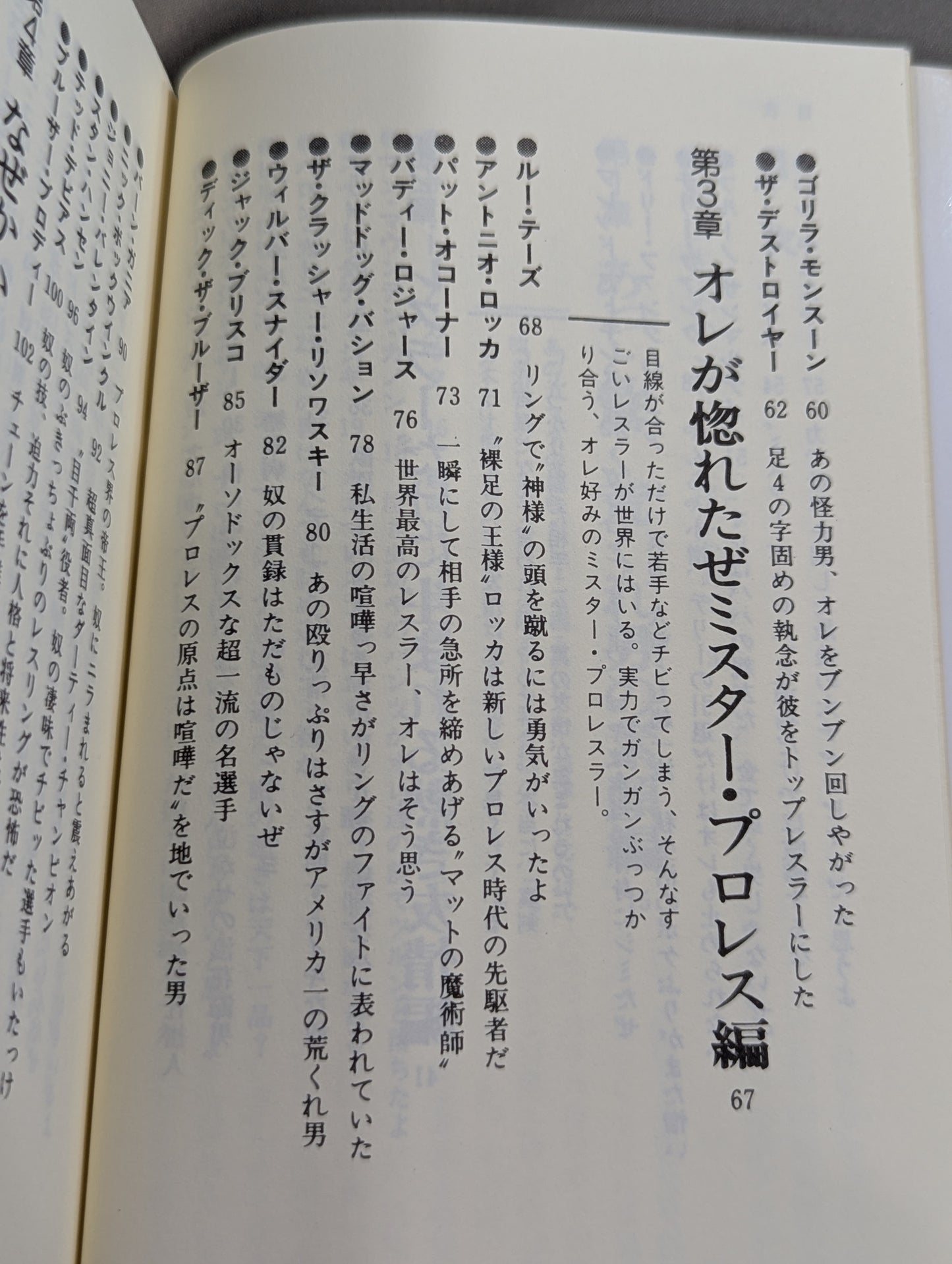 【新装版】16文が行く プロレス界の巨人 100戦記