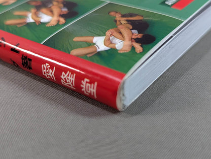 Master Submission Grappling on DVD