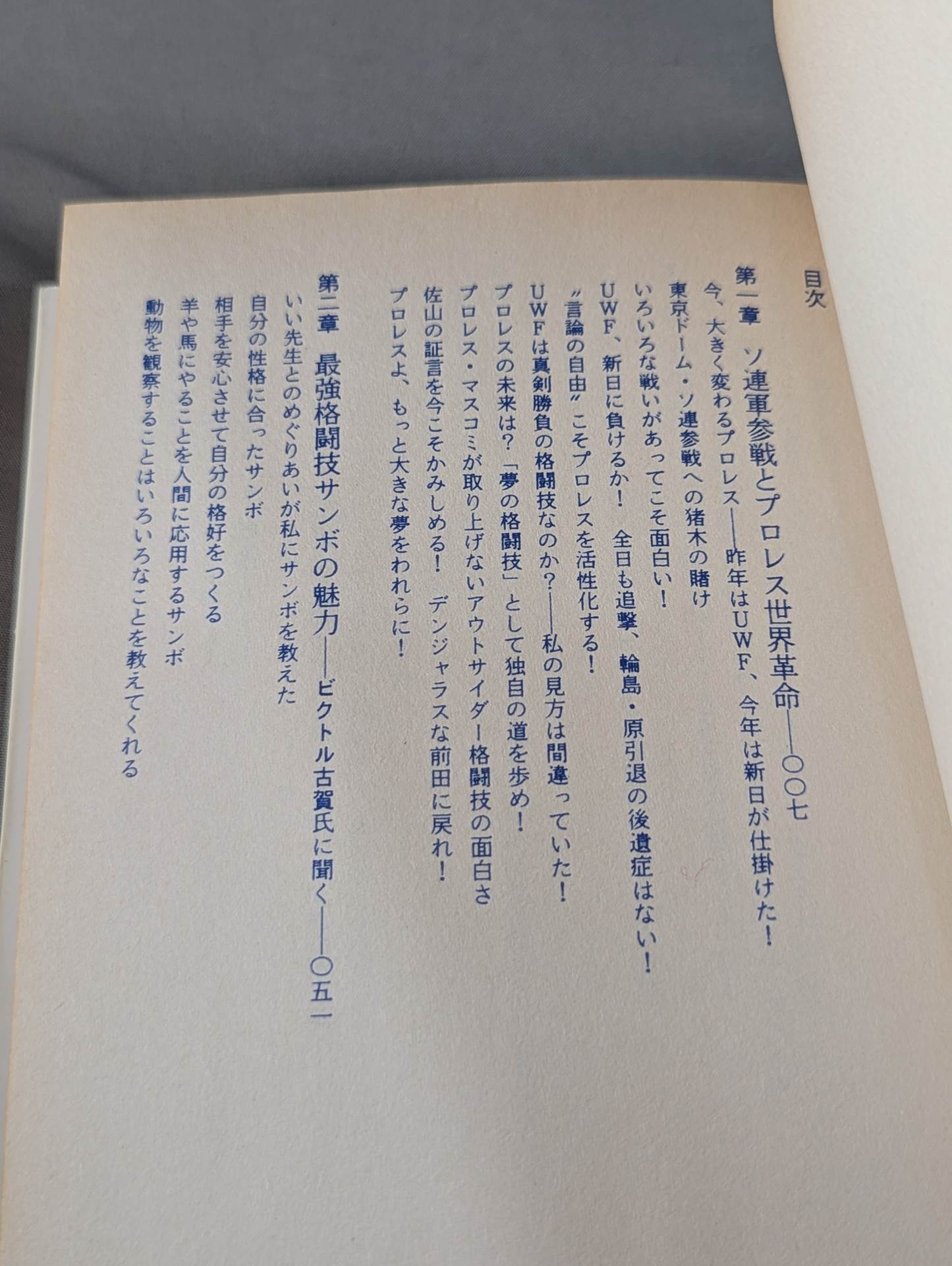 Dream martial arts - Pro Wrestling