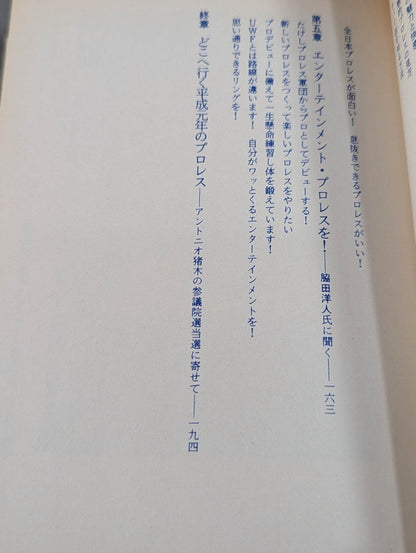 Dream martial arts - Pro Wrestling