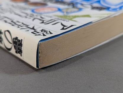 Dream martial arts - Pro Wrestling