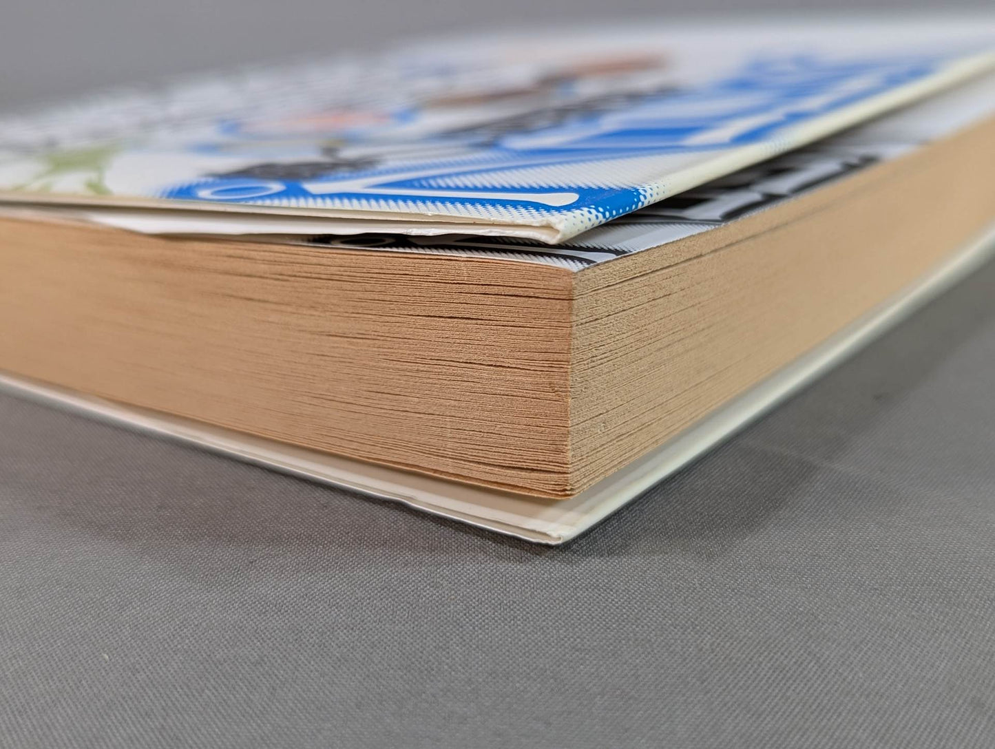 Dream martial arts - Pro Wrestling