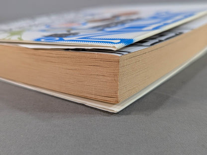 Dream martial arts - Pro Wrestling