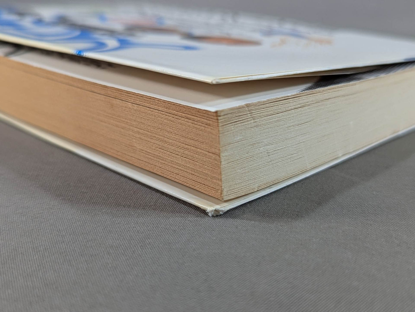 Dream martial arts - Pro Wrestling