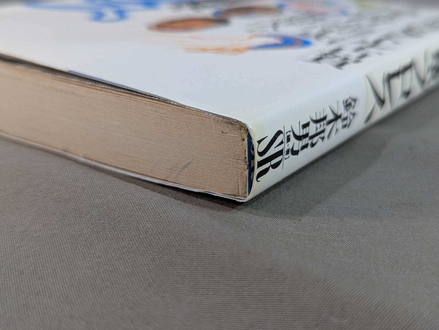 Dream martial arts - Pro Wrestling