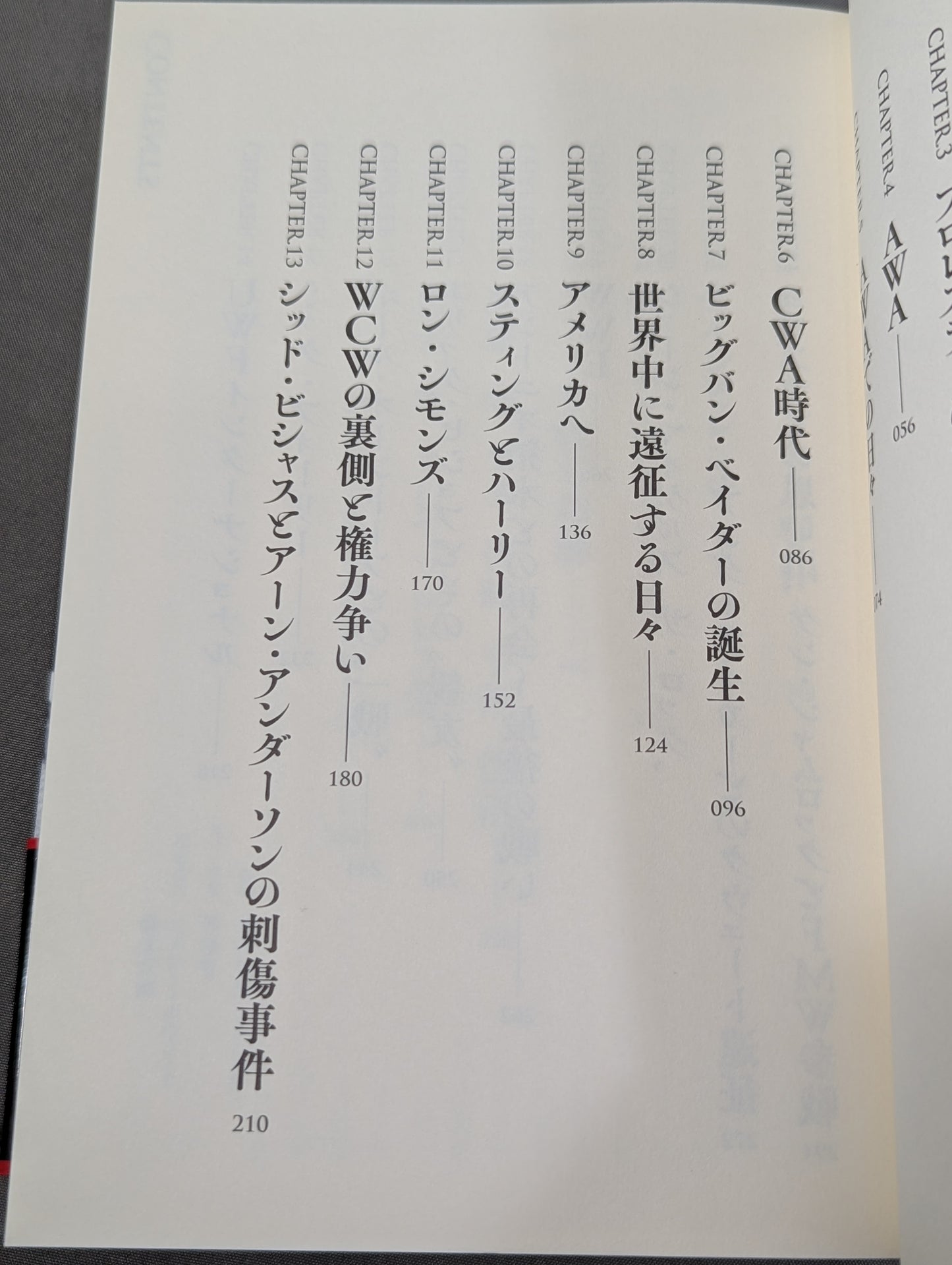 ベイダータイム 皇帝戦士の真実