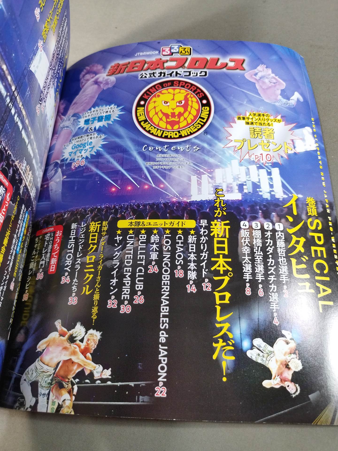 Rurubu New Japan Pro Wrestling  Official Guidebook
