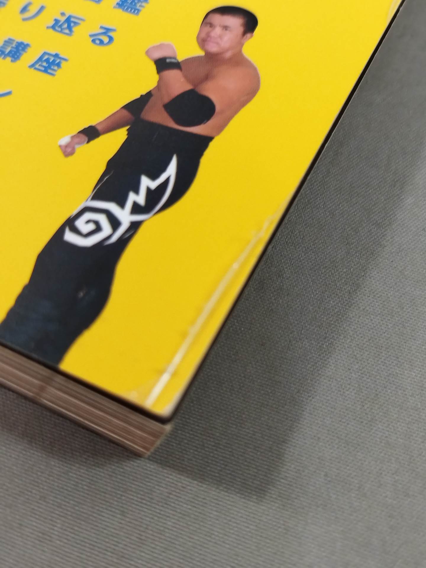 Toryumon Encyclopedia