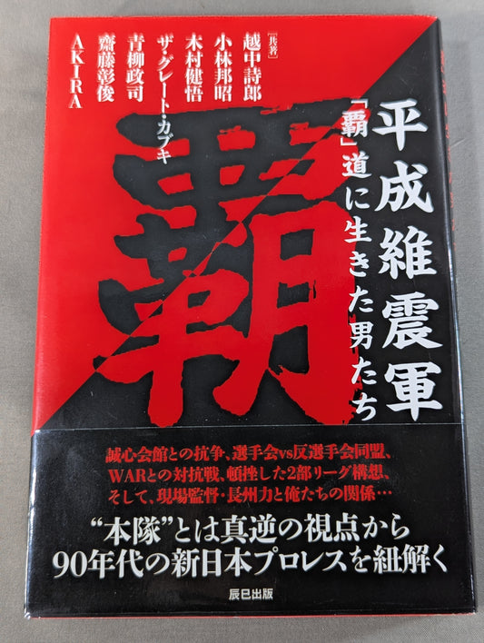 平成維震軍 「覇」道に生きた男たち