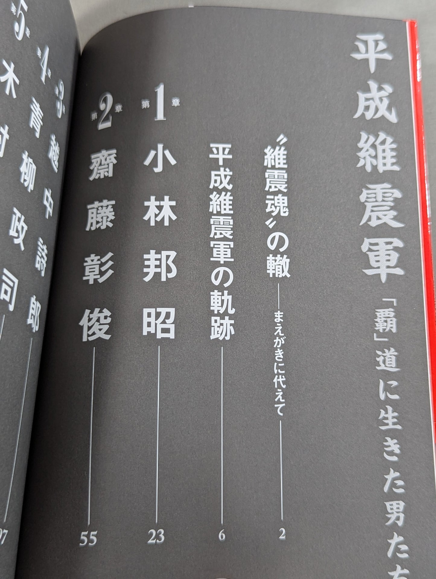 平成維震軍 「覇」道に生きた男たち
