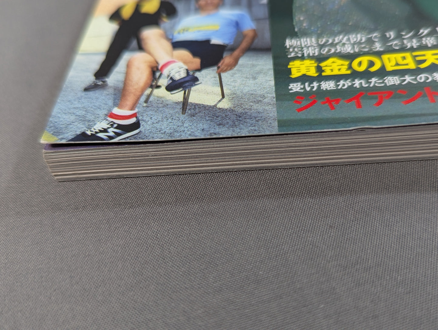 Our Pro Wrestling VOL.2 Mitsuharu Misawa What taught me the thoughts contained in the elbow that 10 people testified.