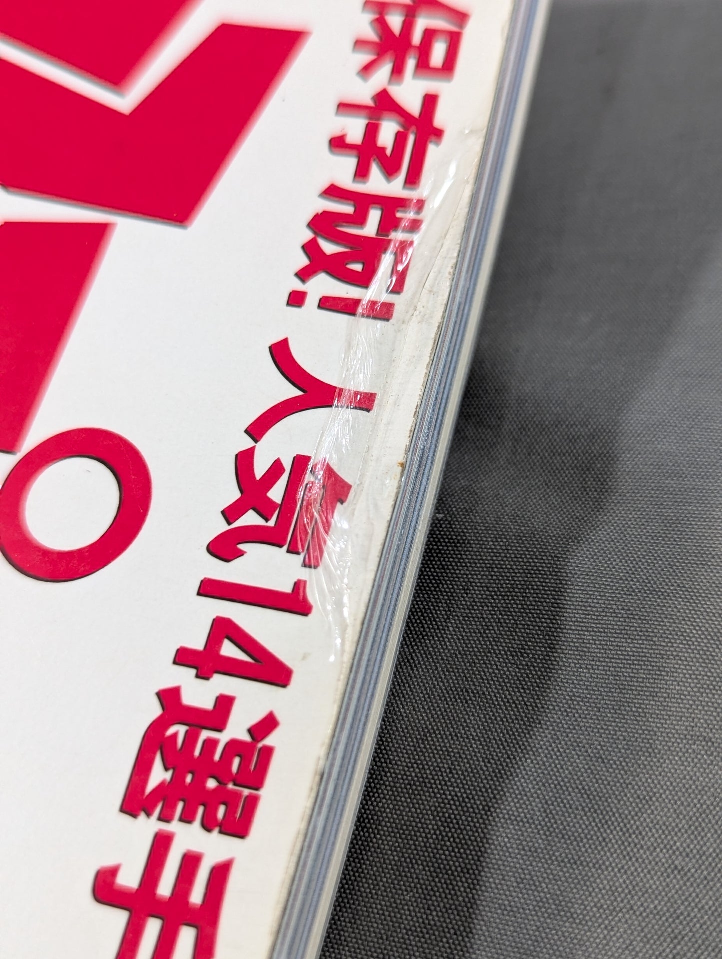 Women's Pro Wrestling Grand Prix File