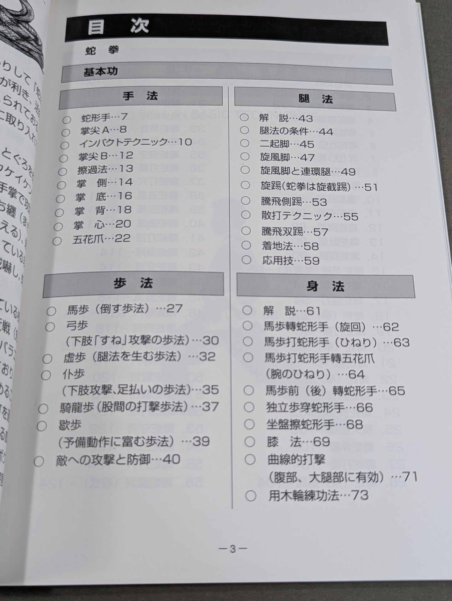 中国拳法 眼鏡王蛇 the king cobra