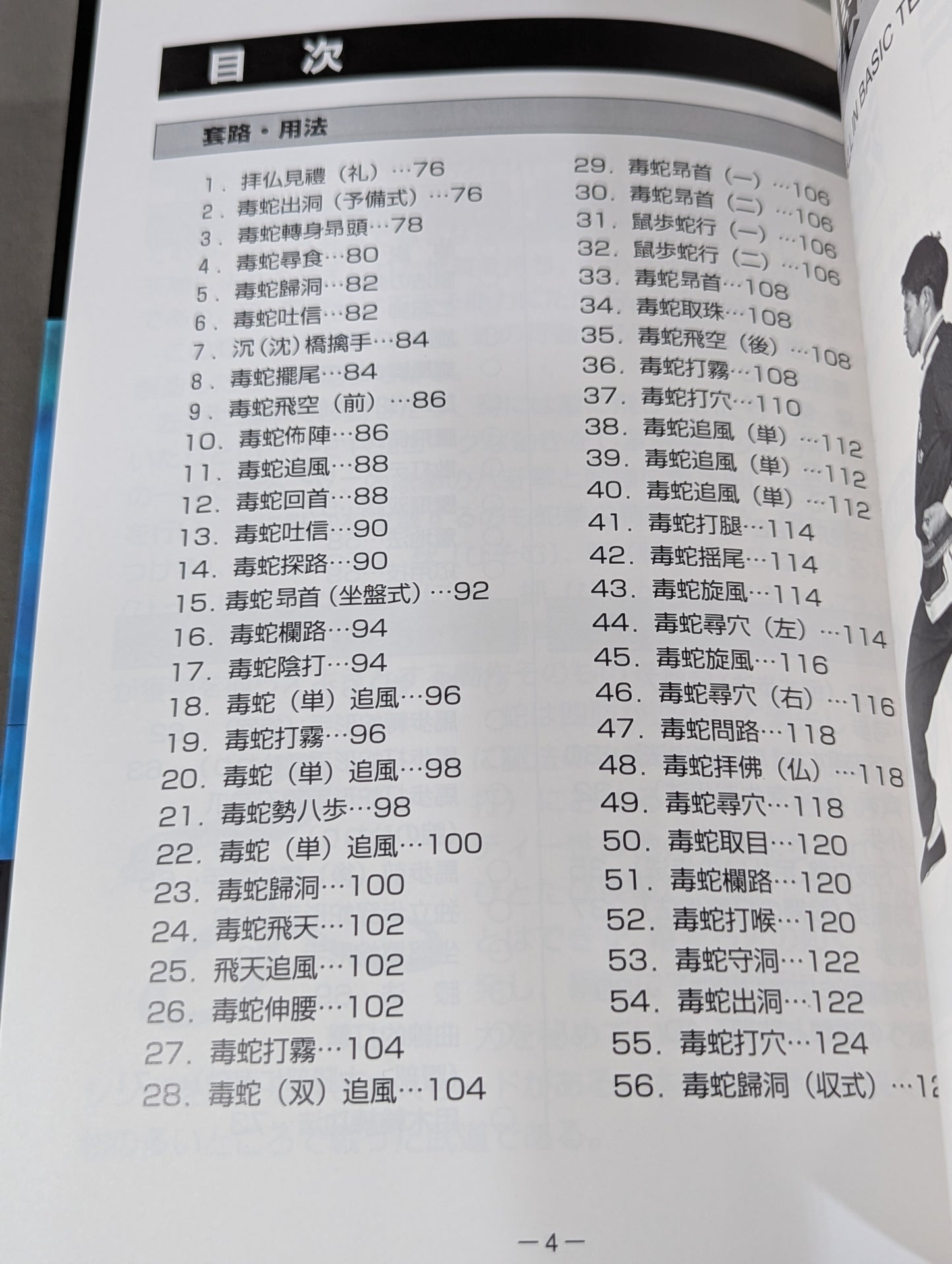 中国拳法 眼鏡王蛇 the king cobra