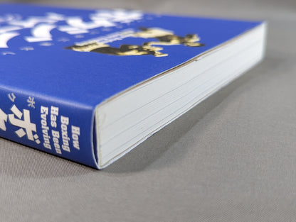 Boxing Bible: How Boxing Has Evolved