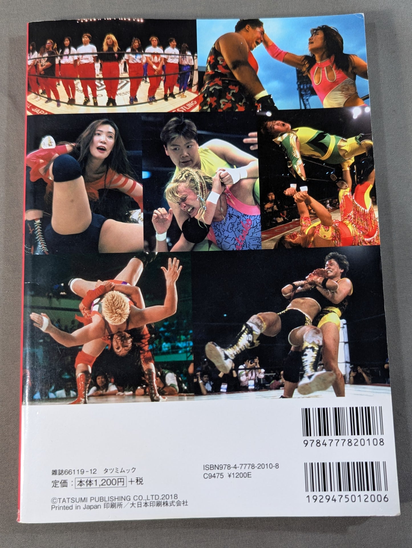 Women's Pro Wrestling The Brilliant 90s