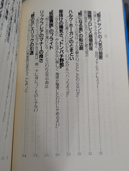 続オフ・ザ・リング / ザ・レスラー その光と影