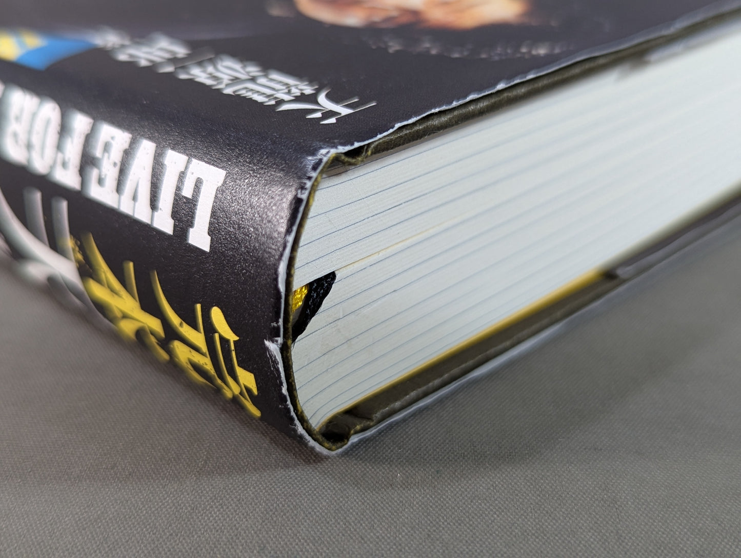 完本 天龍源一郎 LIVE FOR TODAY―いまを生きる―