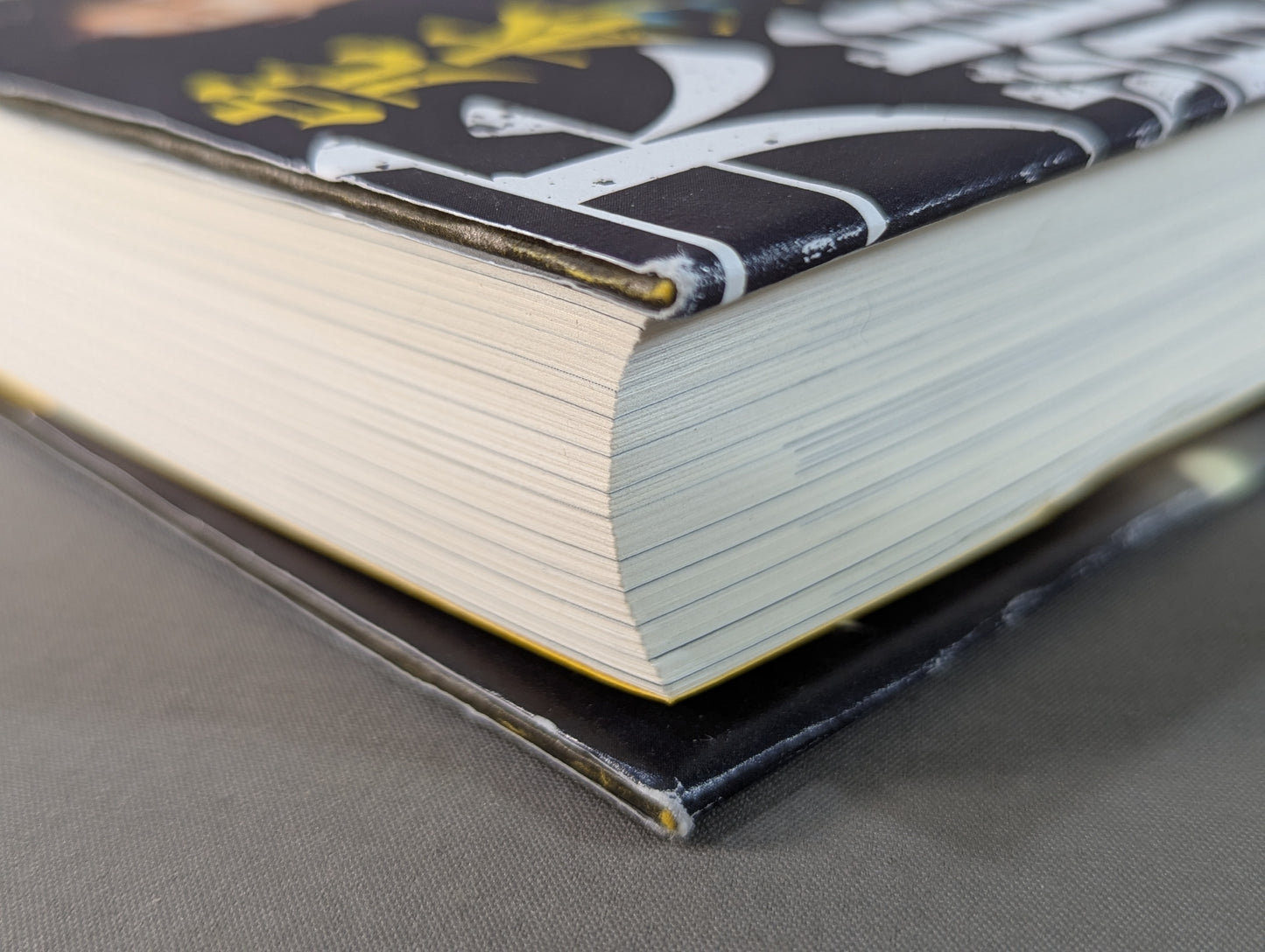 完本 天龍源一郎 LIVE FOR TODAY―いまを生きる―