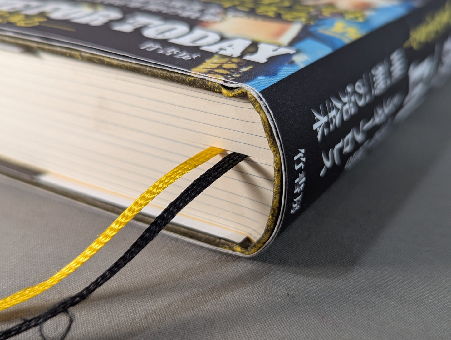 完本 天龍源一郎 LIVE FOR TODAY―いまを生きる―